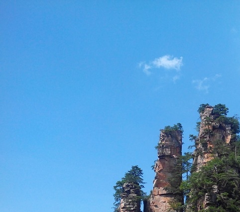 粉象生活下载app