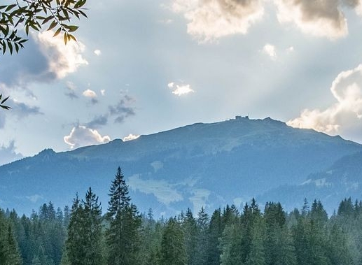 怎样才能把粉象生活做起来