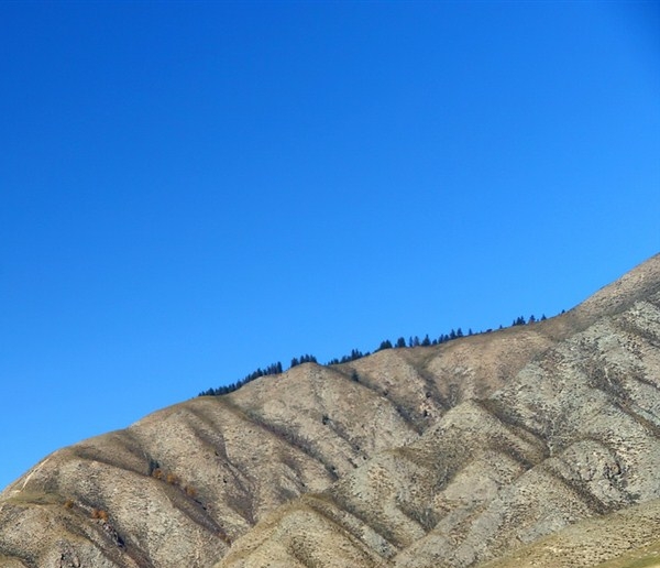 粉象生活上如何下单