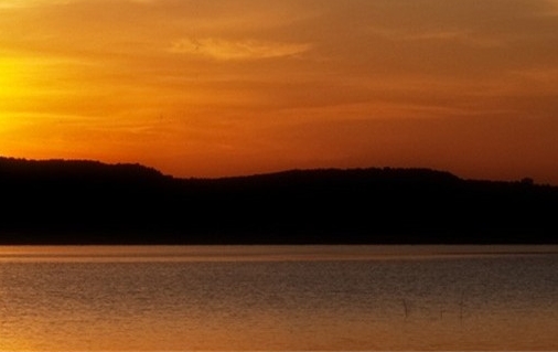 粉象生活怎么快速推广