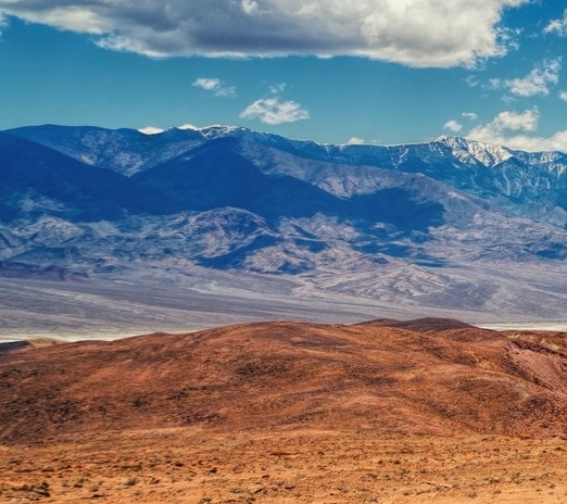 粉象生活app对比