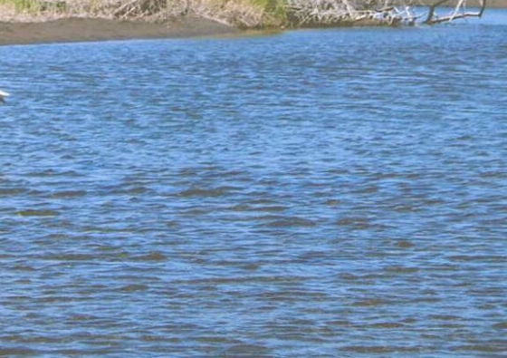 粉象生活是怎么赚钱的