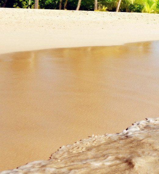 粉象生活新人开店多少钱