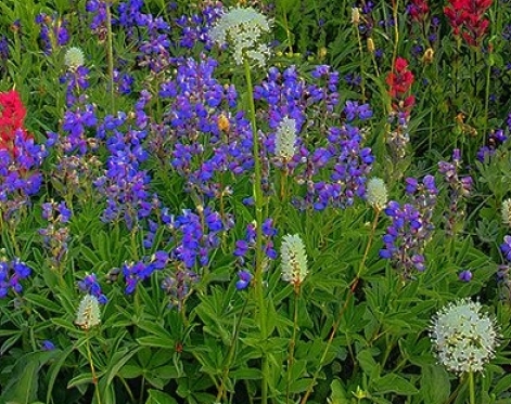 鞍山苏宁生活广场