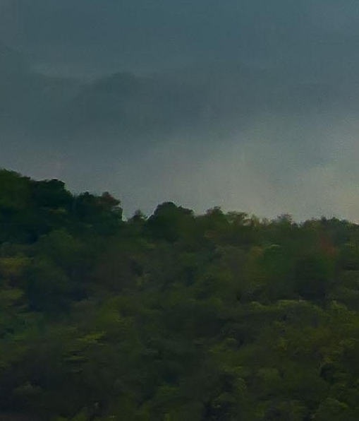 粉象生活money姐