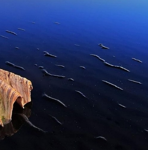 粉象生活上市后怎么样