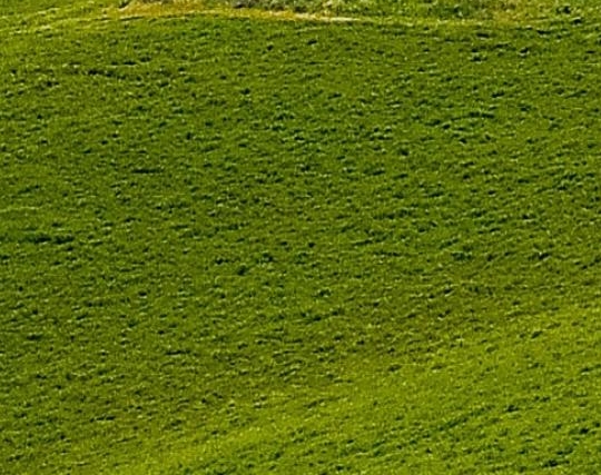 粉象生活邀请码