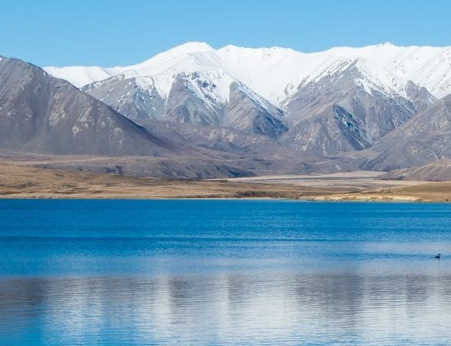 粉象生活一年下来的效果