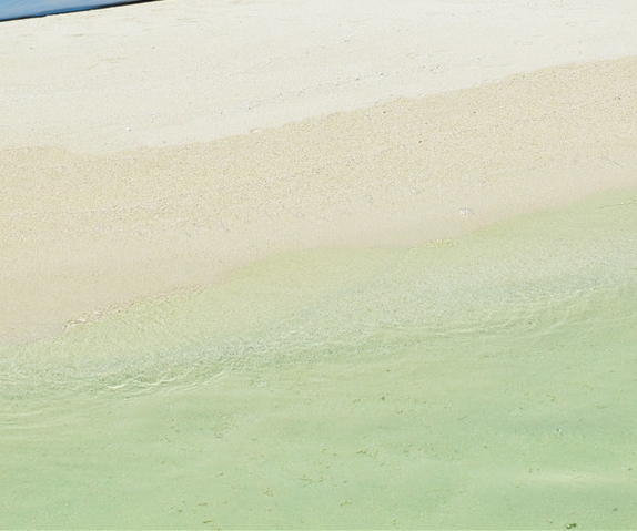 西瓜视频粉象生活