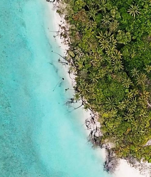 粉象生活如何推广