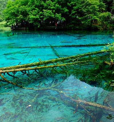 湛江粉象生活赚钱