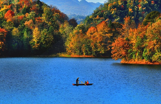 粉象生活和淘宝联盟哪个好
