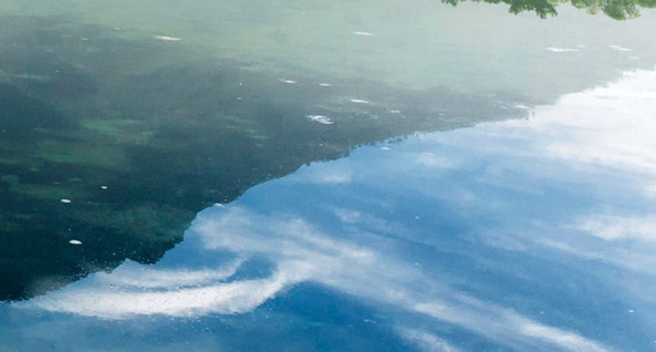 粉象生活邀请码