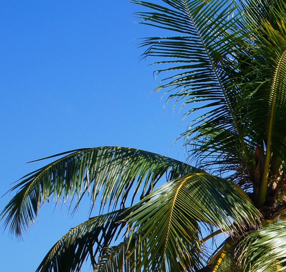 粉象生活2022还能做吗