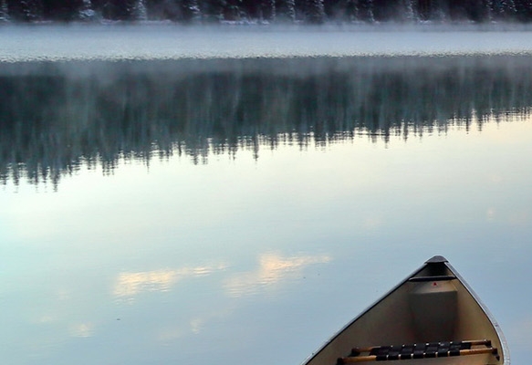 粉象生活同类app