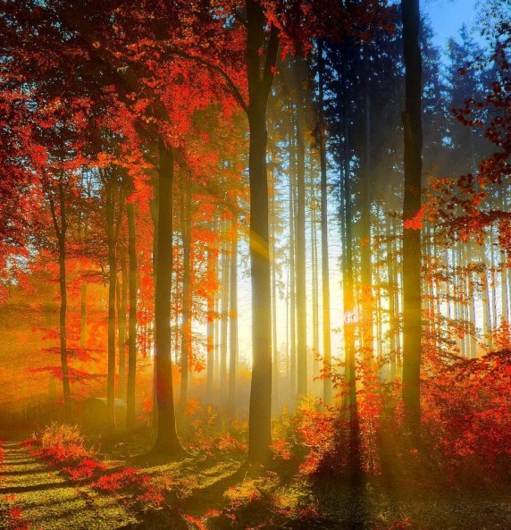 粉象生活怎么推广引流加粉丝