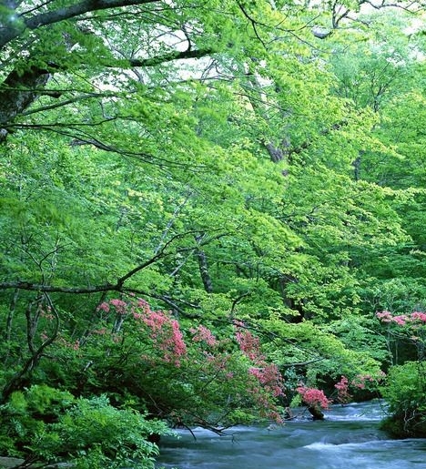 粉象生活的粉象昵称在哪里