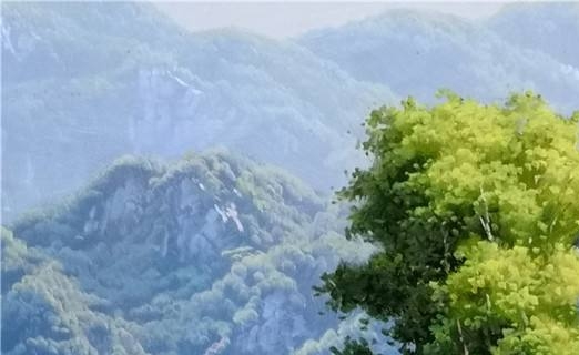 粉象生活研发人