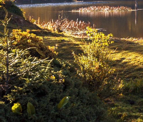 粉象生活下载app