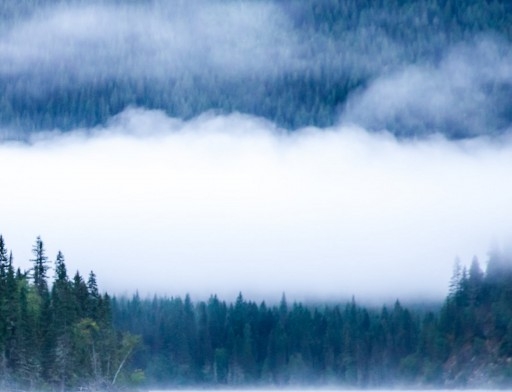 粉象生活赚钱晋升讲解
