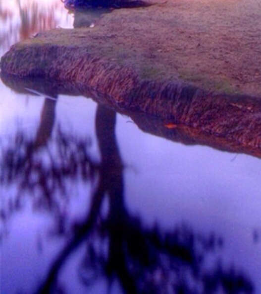 粉象生活是怎么赚钱的