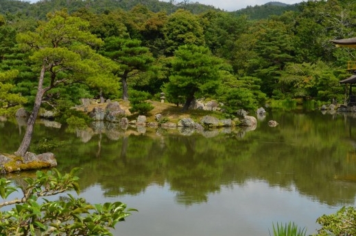 粉象生活收款方式