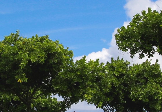 粉象生活第一个是怎么注册的