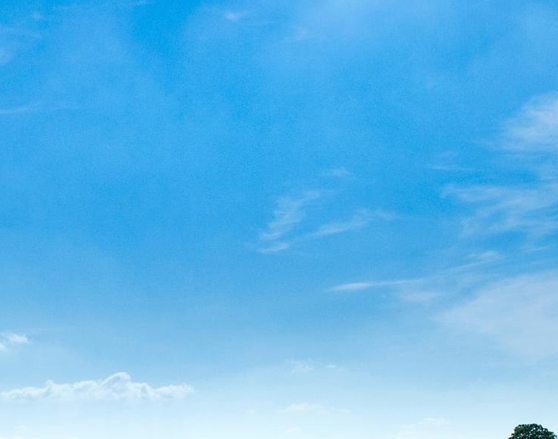 粉象生活怎么快速推广