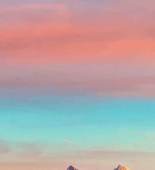 粉象生活品牌营