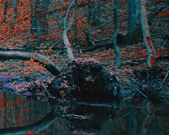 粉象生活的背景