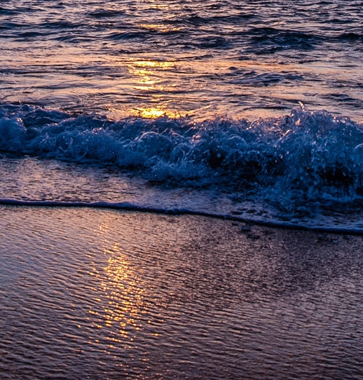 粉象生活骗局?揭密很多人被骗!说说他们的亲身经历!