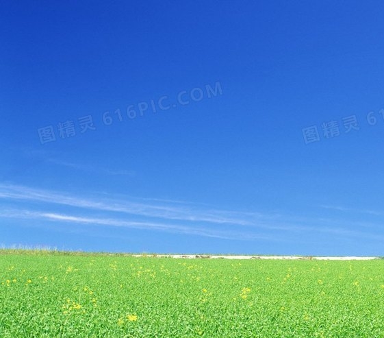 粉象生活邀请码