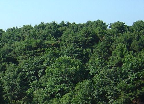 利用粉象生活赚取佣金合法吗?