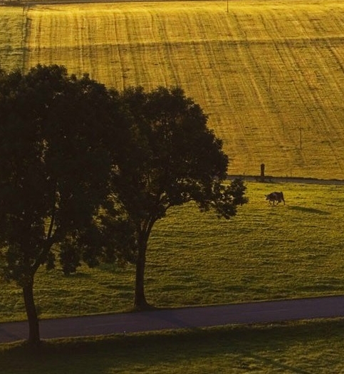粉象生活线上引流是什么