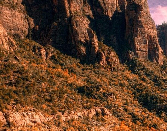 粉象生活可以赚钱吗