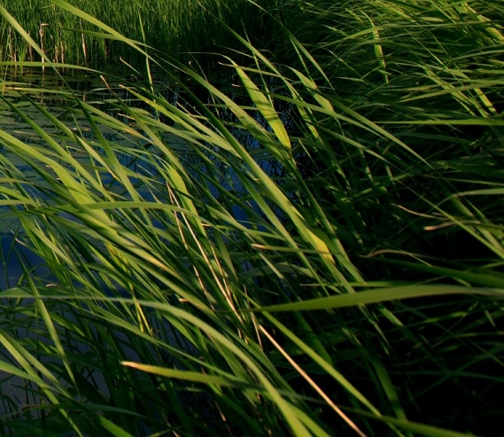 粉象生活怎么联系邀请人