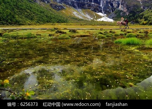 在粉象生活上买东西便宜吗