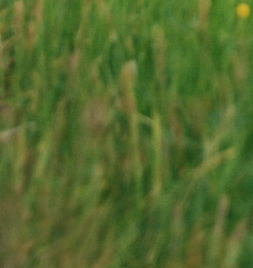 如何申请自己的服装品牌