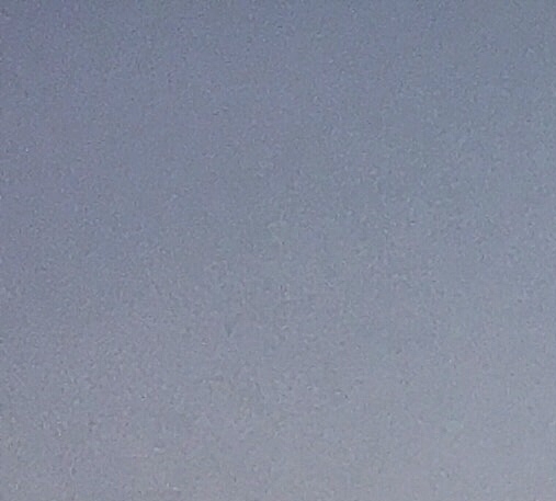粉象生活是怎么赚钱的
