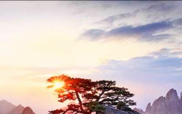 粉象生活英文介绍