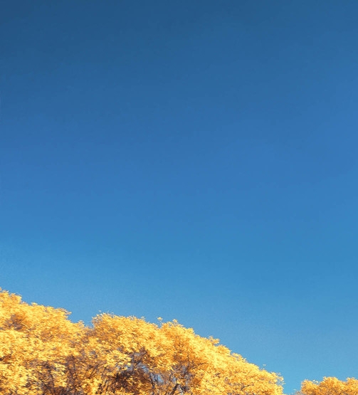 粉象生活多久能有优惠