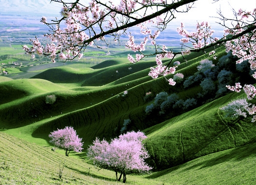 粉象生活如何添加新的商品