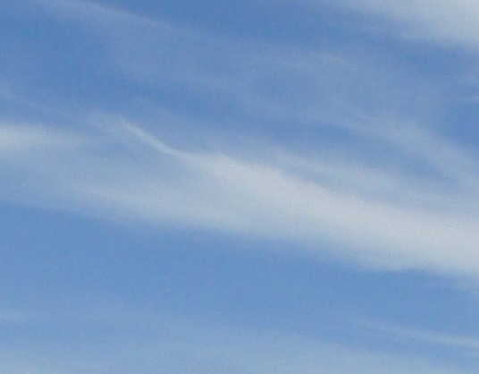 泰国粉象生活app