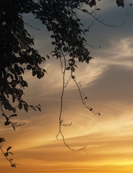 粉象生活下载量是多少