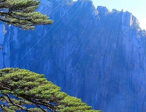 粉象生活骗局有