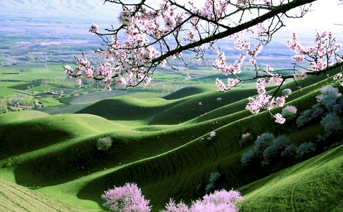 粉象生活买东西便宜么