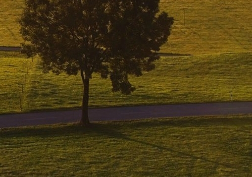 app开发后期维护收费