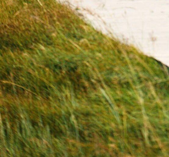 粉象生活是怎么赚钱的