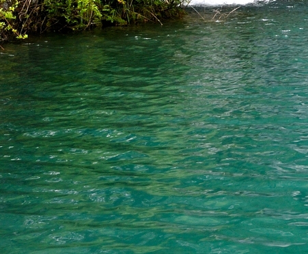 如何使用支付宝付款