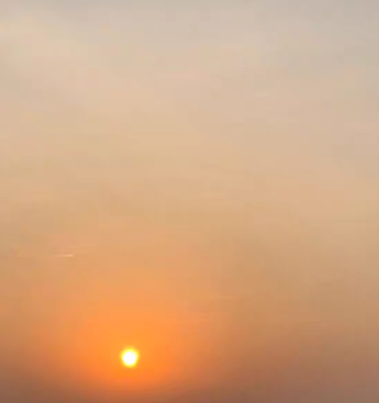 粉象生活 闲鱼